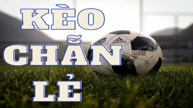 Tìm hiểu chi tiết cách đọc kèo, tính tiền kèo chẵn lẻ